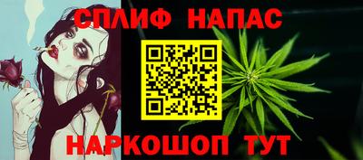 соль ск Можга