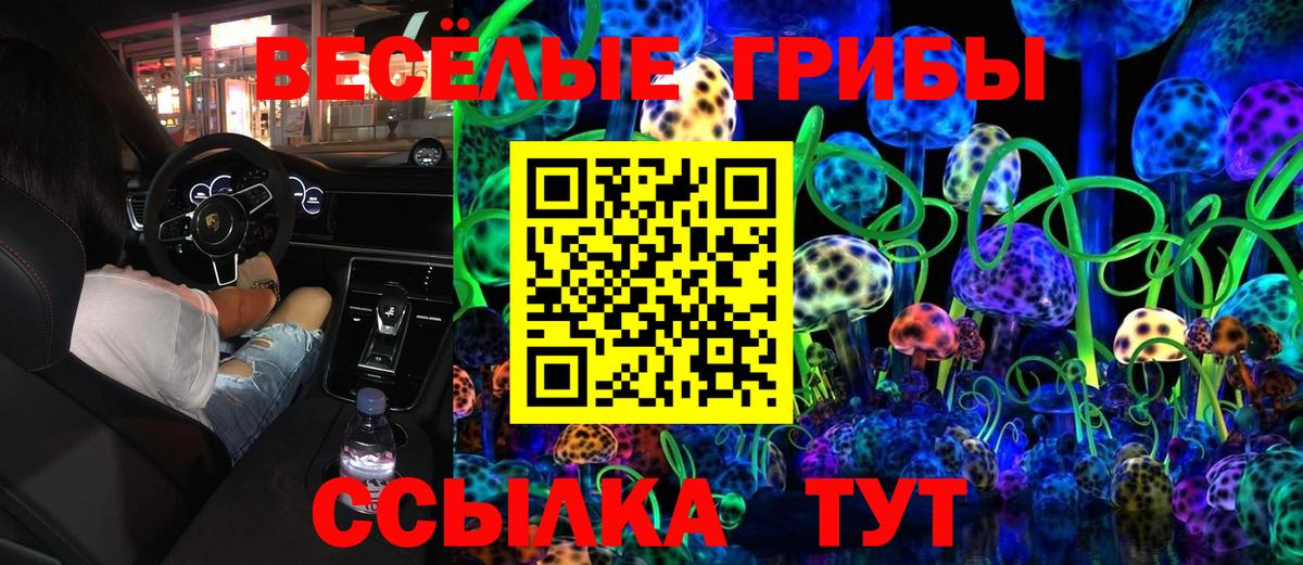 Элиста  Галлюциногенные грибы мухоморы  Вход с VPN 